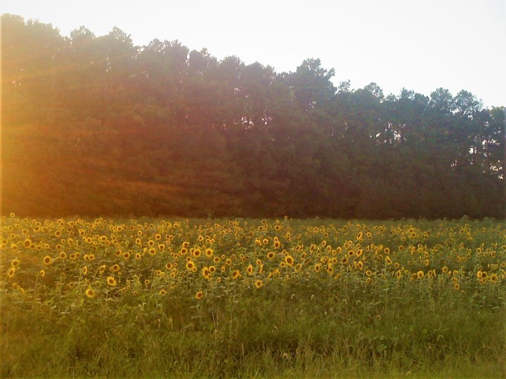 Becoming Kel.Leigh.ly- Part&nbsp;2