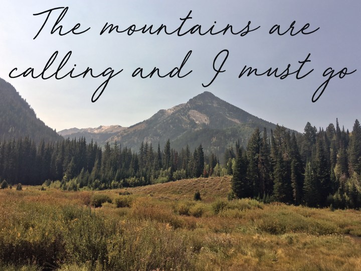 What’s the Appeal of&nbsp;Hiking?